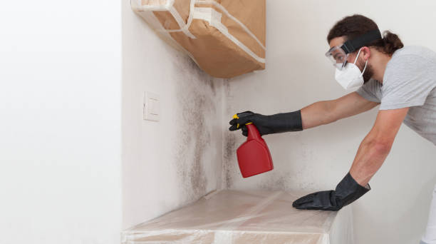 Professional Mold Removal technician working in Peoria, IL